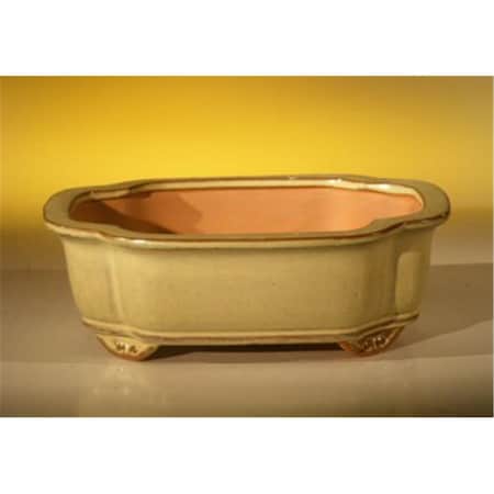 Paisaje 8 x 6 x 2.5 in. Ceramic Bonsai Pot, Beige - Oval PA2529774